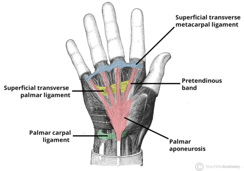 image (1)
