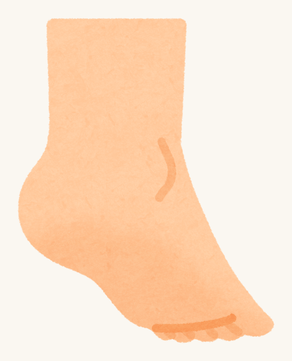 腳跟與腳踝的側面插圖